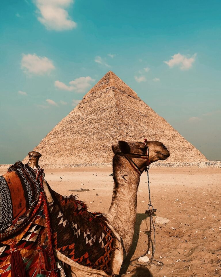 abdelrhman-allam-ODuc5TYVP54-unsplash
