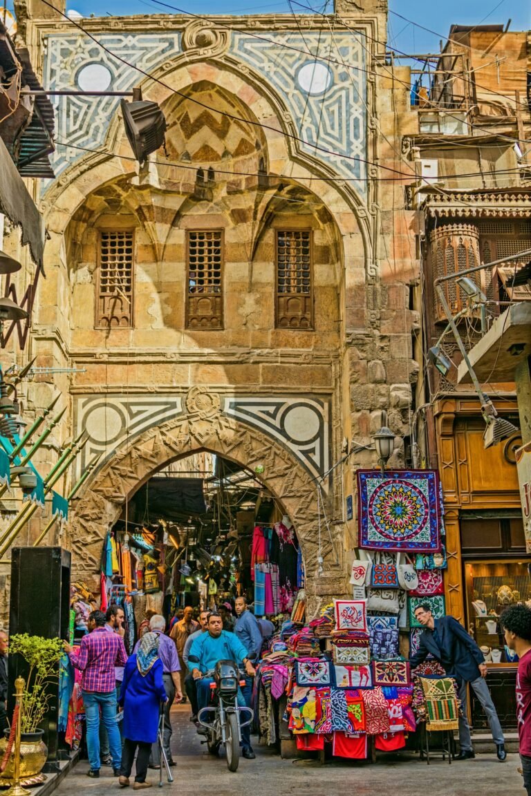 thales-botelho-de-sousa-u5HTGz5apK8-unsplash