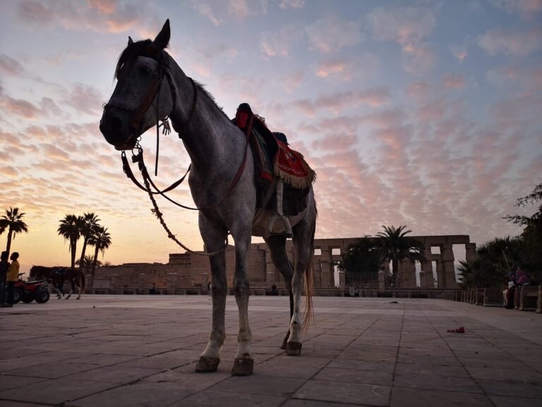 egypt-4862488_1920