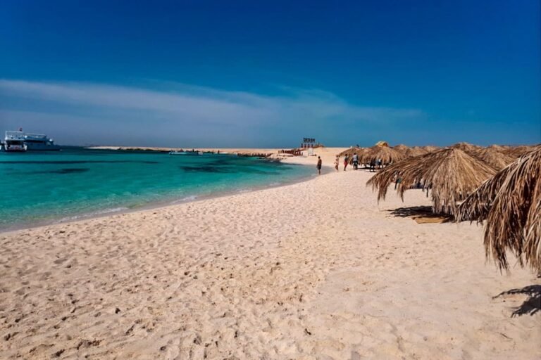 paradiseisl7