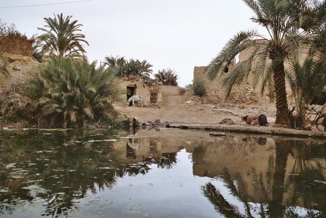 Oasesiwa-nile-maagic-tours